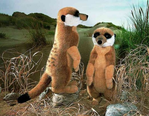 Retired Kosen Animals - MEERKAT 38CM